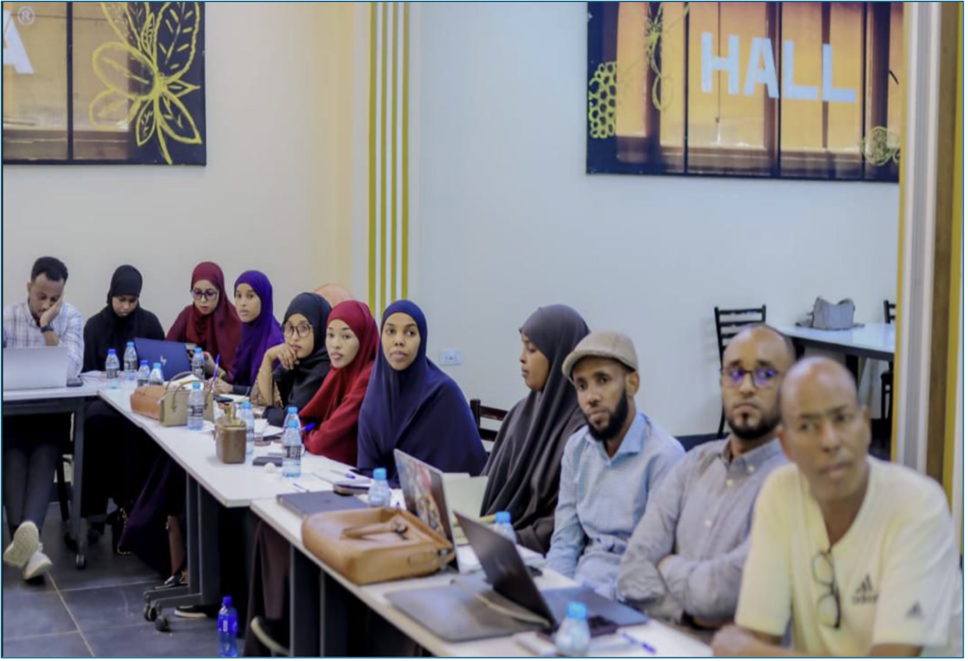 UAT and Implementation Training - FMIS MoH Somalia — 1/2